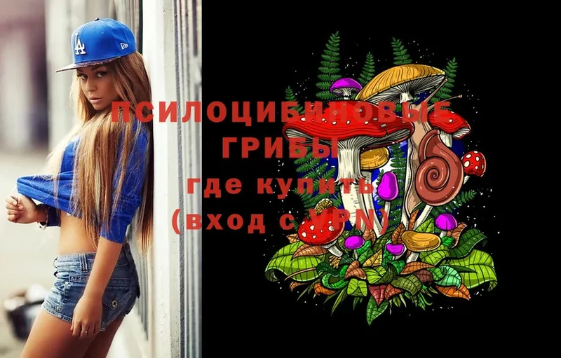 цена   это официальный сайт  Галлюциногенные грибы Cubensis  Донской 